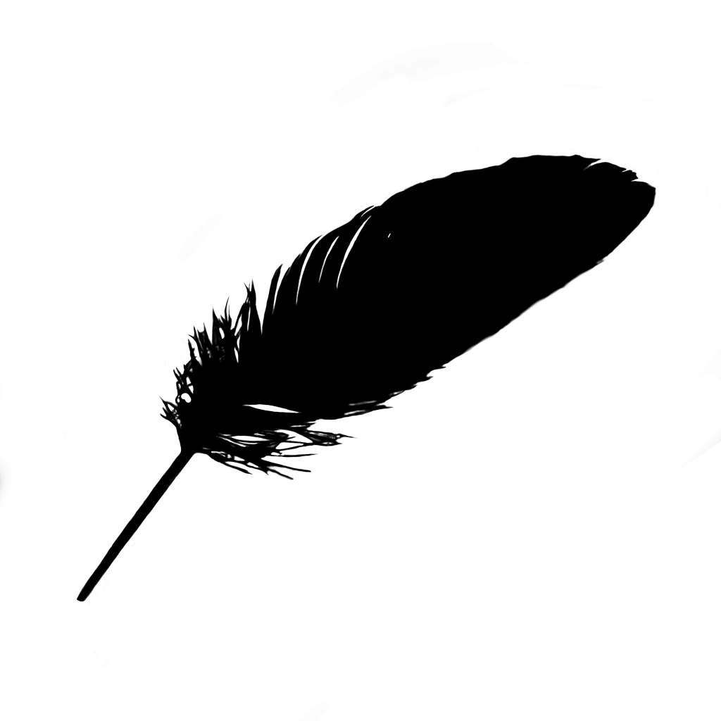 Light as a Feather was created from a feather I found on the ground. I took a picture of it and created a digital feather in Procreate. Image has a transparent background