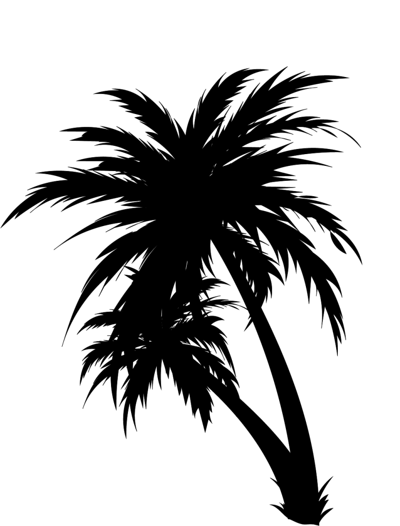 Palm Trees Silhouette created in Adobe Illustrator. Image has a transparent background.