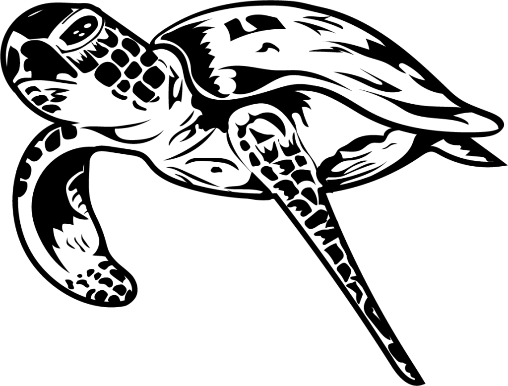 Sea Turtle Stencil art