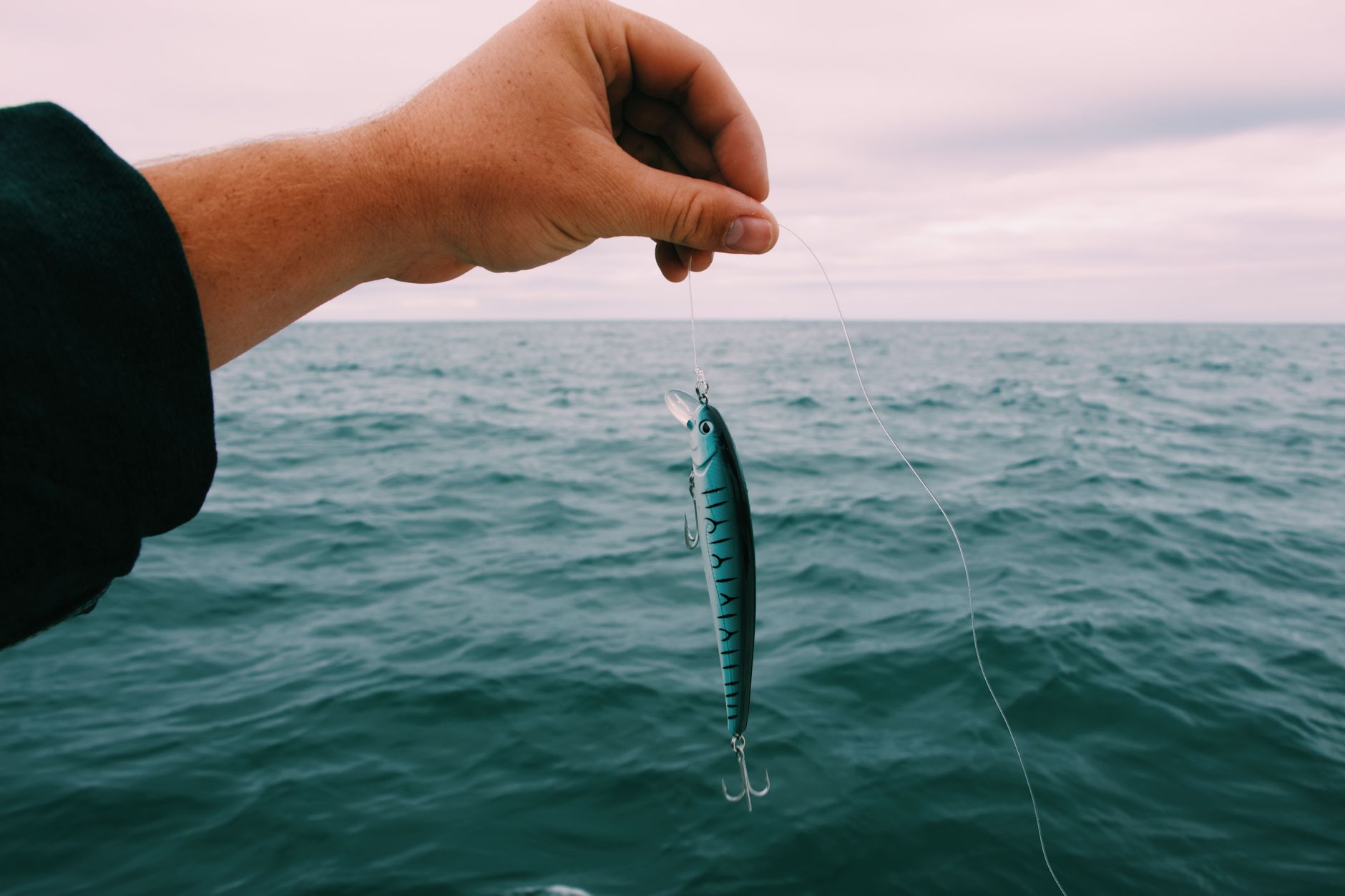 white and blue fishing rod